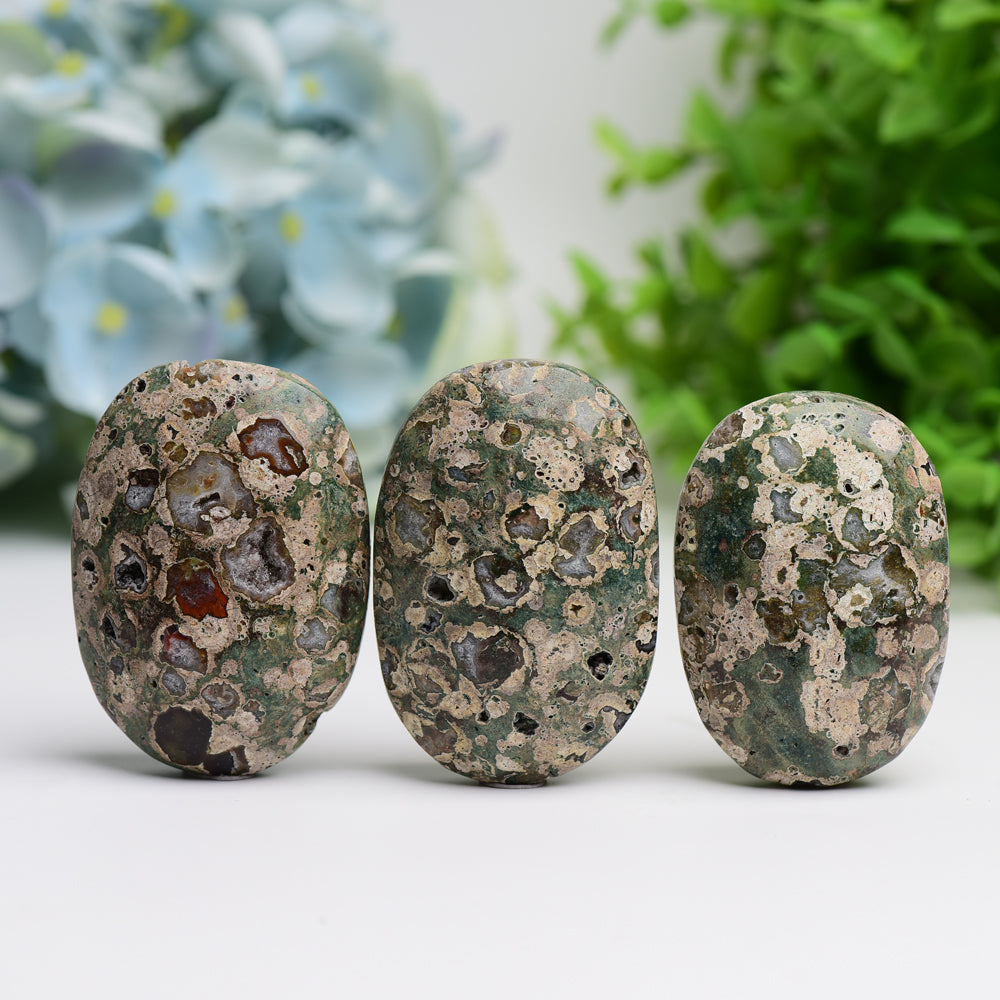 2.4" Rainforest Jasper Palm Stone Bulk Best Crystal Wholesalers