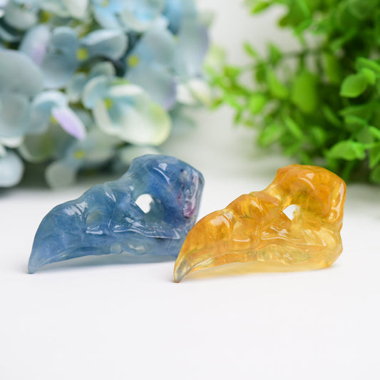 3.0" Fluorite Raven Skull Crystal Carving Bulk WholesaleBest Crystal Wholesalers