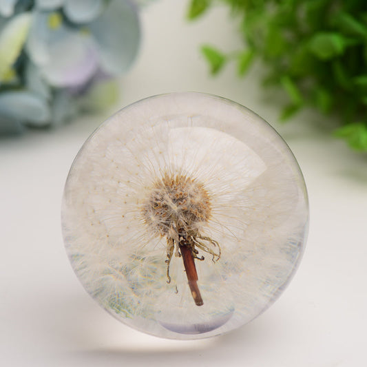 2.6" Resin Sphere with Dandelion Inside Bulk Crystal wholesale suppliers