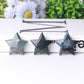 2" Moss Agate Star Crystal Carvings Best Crystal Wholesalers