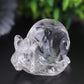 1.2-1.5" Clear Quartz Snail Crystal Carvings Animal Bulk Best Crystal Wholesalers