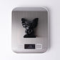 3" Black Obsidian Gargoyle Crystal Carvings Cartoon Bulk Best Crystal Wholesalers